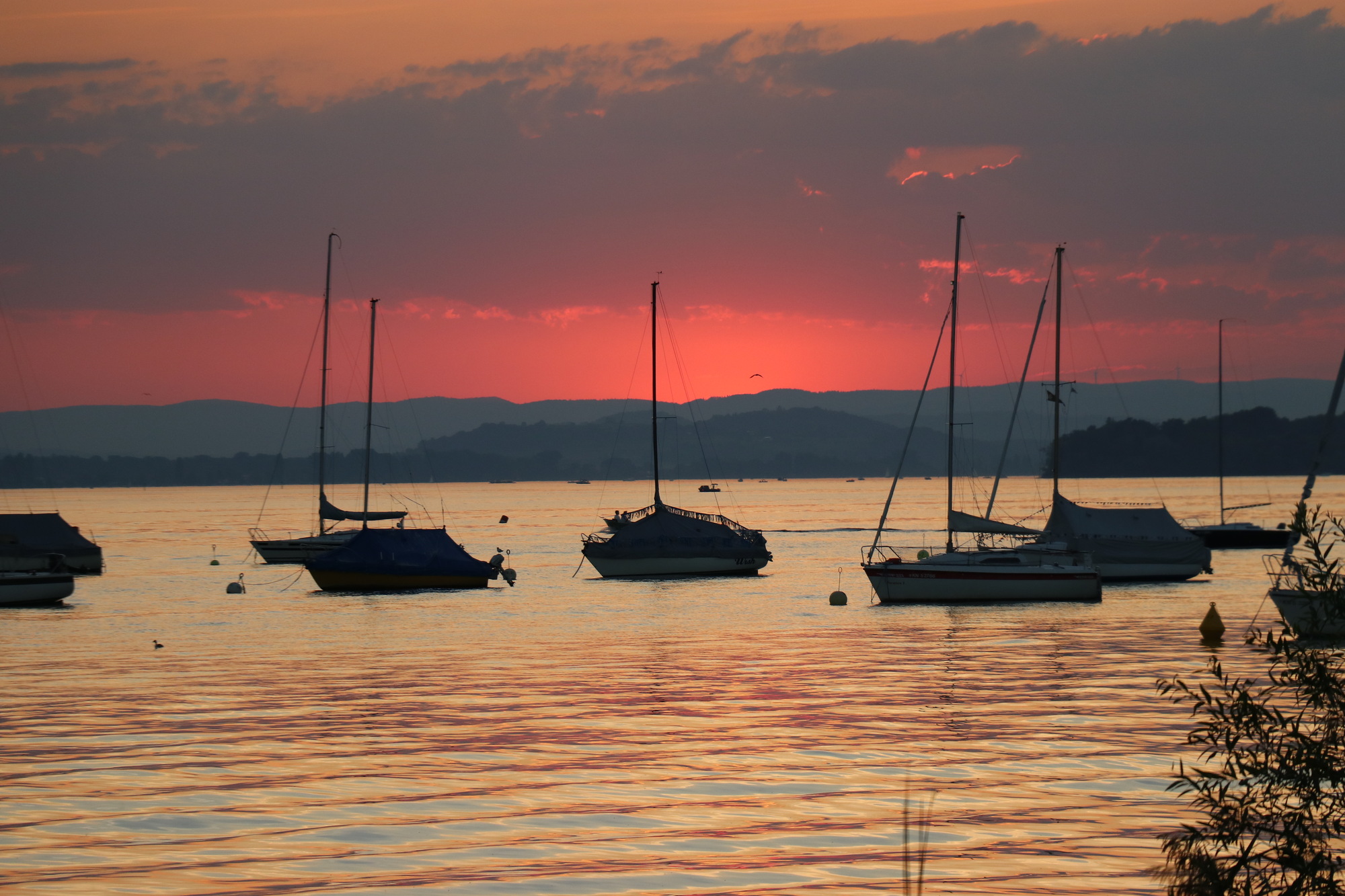 Sonnenuntergang hinter der Reichenau